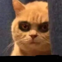 hệ thống thiếu ngủ 