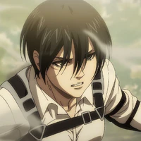 mikasa