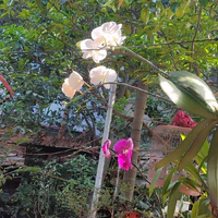 all: trừ ai thì trừ