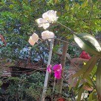 all: trừ ai thì trừ