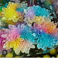 Các thuộc hạ của Ly