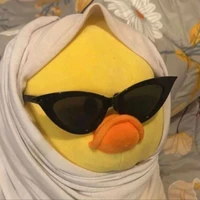 Lợn nèeeeee