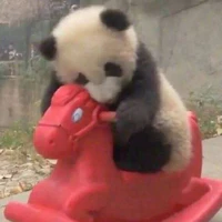 Tỏi Yuin