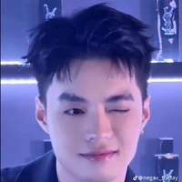 Đặng Thành An ( chíp bông)