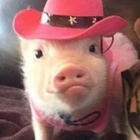 Người bắt nạt