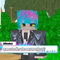 hiha des
