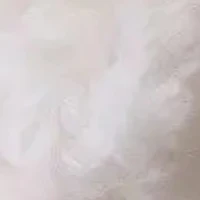 ALL - ai trừ