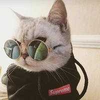 Thầy hiệu trưởng