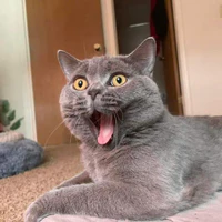 T/g