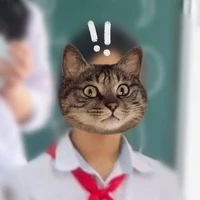 T/giả