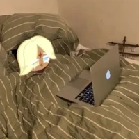 Pure vanilla( cụ pủe🥰)