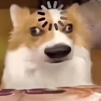 Tác giả😾✌️