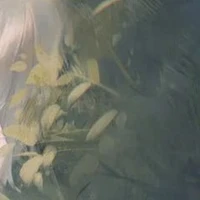 <nvp>