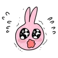 〖all〗
