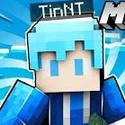 TinNT