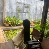 yt.