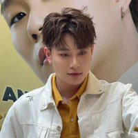Trần Đăng Dương|Dương Domic