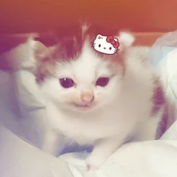 cả lớp