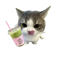_caxinhiu_