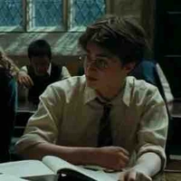 Harry Potter 🦁