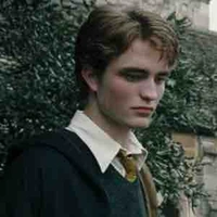 Cedric Diggory 🦨