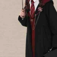 Phù sinh Gryffindor 🦁
