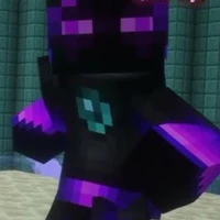 Jaki Enderman 🗿