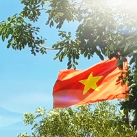 con này là t/g kiêm luôn hệ thống