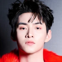 Gemini Hùng Hùynh ( Hùynh Hoàng Hùng )