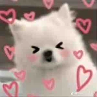 T/G kimochi :33