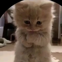 min