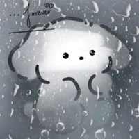 chú chó cute