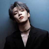 Lưu Diệu Văn