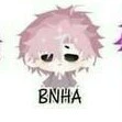 hiha BNHÁ
