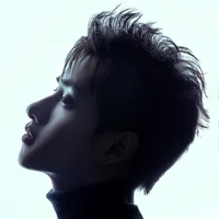 Huỳnh Hoàng Hùng (Trung úy Gemini)