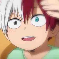 shouto todoroiki(4)