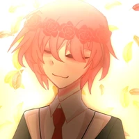 TT hiha