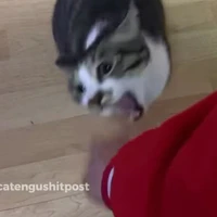 Sún Sún