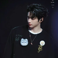 Lưu Diệu Văn ( anh )