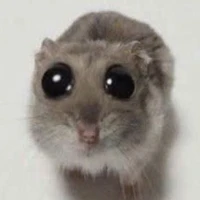 Tỏi ớt