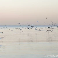 Hạ Chi