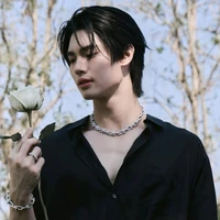 Win Metawin