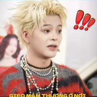 puppy_HT(chíp_tg)