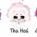 Hiha tha hóa