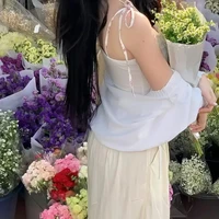 Trần Ngọc Lan Chi (vợ Hùng)