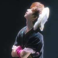 Hạ Tuấn Lâm- Người Hầu