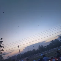 Người Hầu