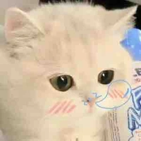 T/g lười 
