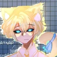 hiha anti catnap