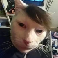 ngôn nhất trì người chồng đoạn mện của e